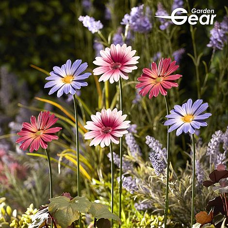 Garden Gear Metal Daisy Stake Set of Six